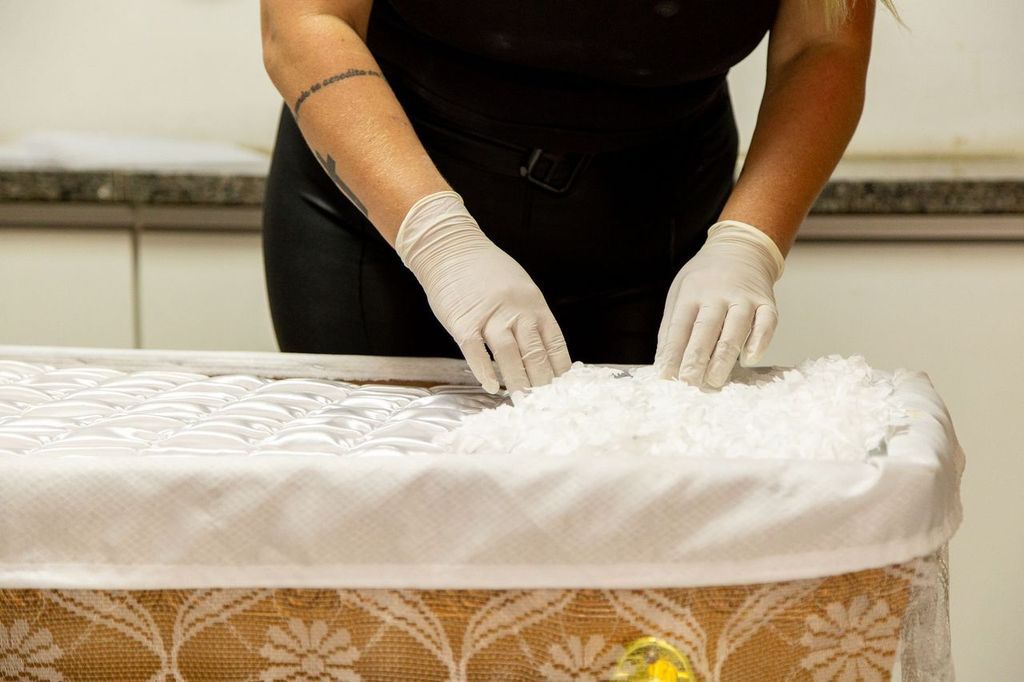 Laboratório técnico de conservação e preparação para transporte de longa distância